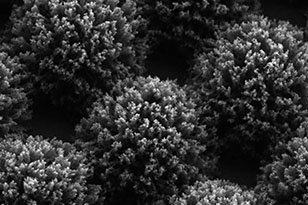 新乡新乡蔡司显微镜